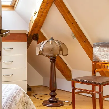 Dream Old&new Sunny Delight 스플리트