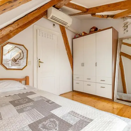 Dream Old&new Sunny Delight 스플리트