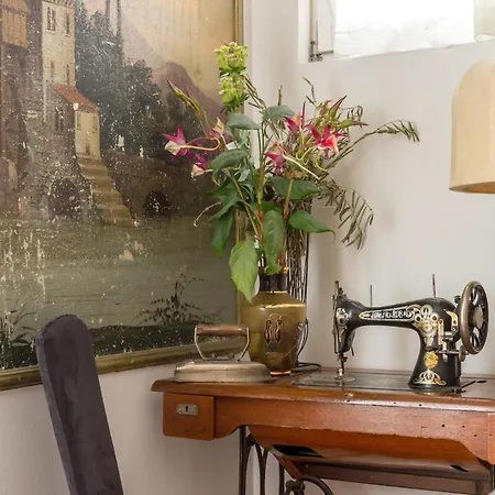 Dream Old&new Sunny Delight