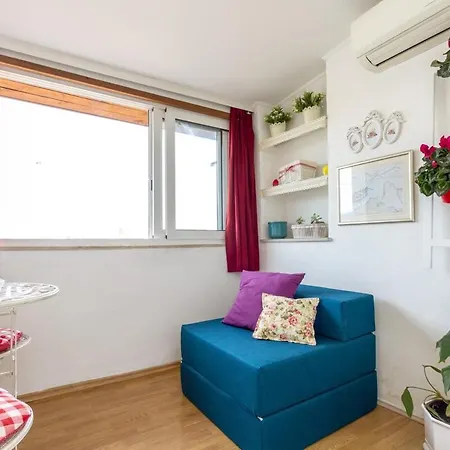 Dream Old&new Sunny Delight * 스플리트