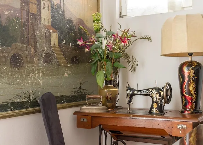 Dream Old&new Sunny Delight