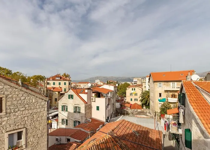 Dream Old&new Sunny Delight