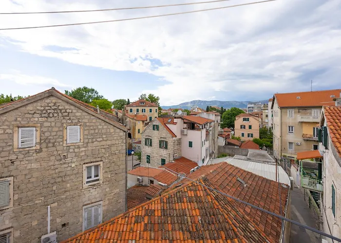 Dream Old&new Sunny Delight *