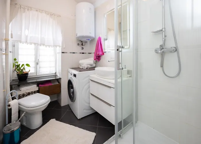 Dream Old&new Sunny Delight *