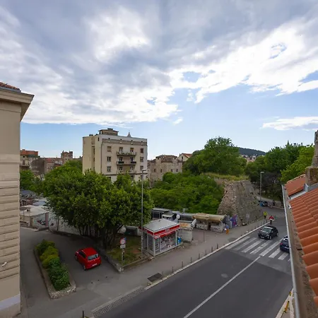 Dream Old&new Sunny Delight Split