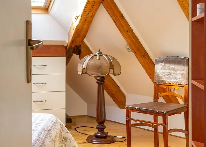 Dream Old&new Sunny Delight Split