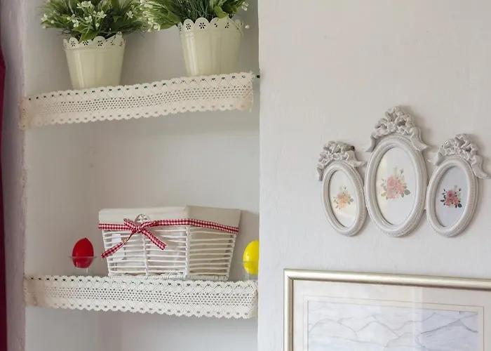 Dream Old&new Sunny Delight