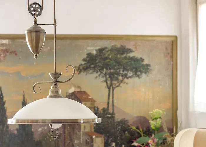 Dream Old&new Sunny Delight Split