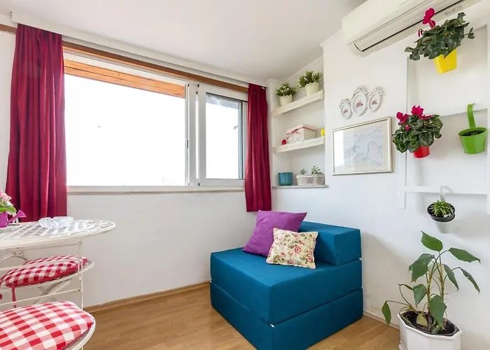 Dream Old&new Sunny Delight * Split