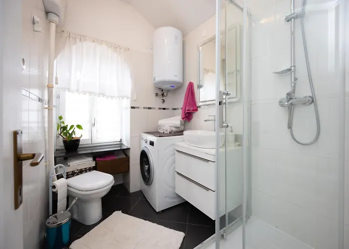 Dream Old&new Sunny Delight